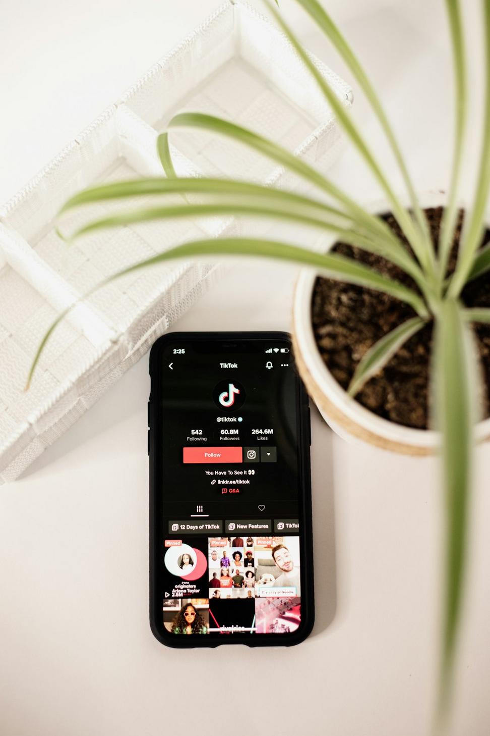 Content creator case